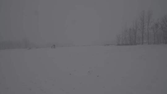 4K北方冬天下雪视频索尼slog2原视频