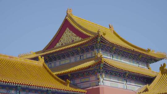 北京故宫原创视频素材模板下载