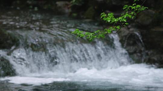 杭州云溪竹径春雨溪流升格视频合集