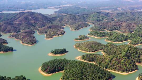 广东开平孔雀湖湿地航拍4K视频