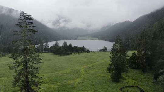 4k超清川西高原航拍湖泊牧场山谷牛群马匹