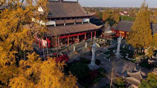 浙江嘉兴梅花洲石佛寺千年银杏航拍