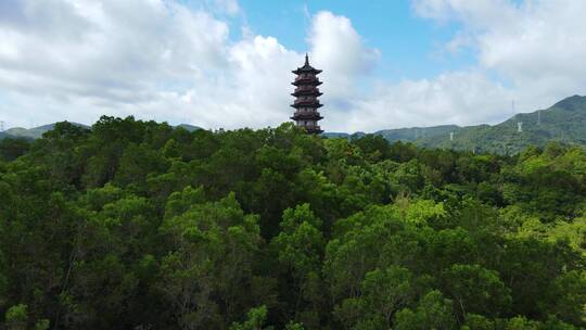 深圳坪山泰和塔 (4)