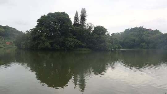 深圳仙湖植物园