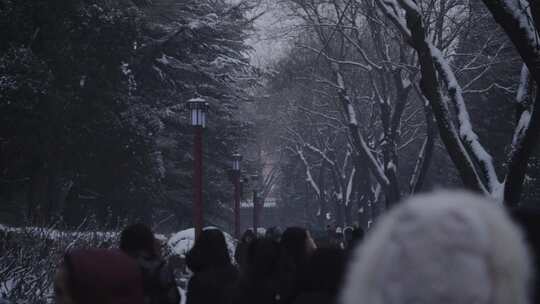 北京下雪中的行人视频素材模板下载