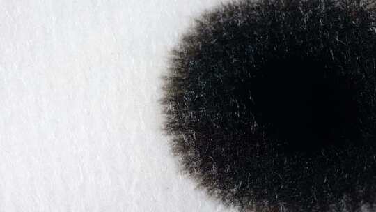 4K水墨墨汁墨滴墨水晕染散开宣纸微距特写