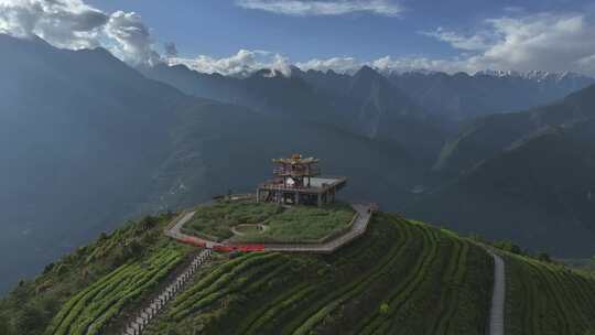 西藏墨脱县背崩乡格林村高山茶园风光航拍