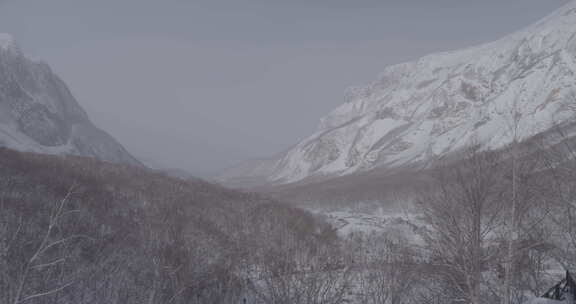 被雪覆盖的长白山北坡景区风光