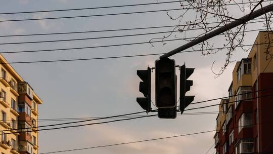 交通信号灯信号方向居民楼住宅住房电线枯枝