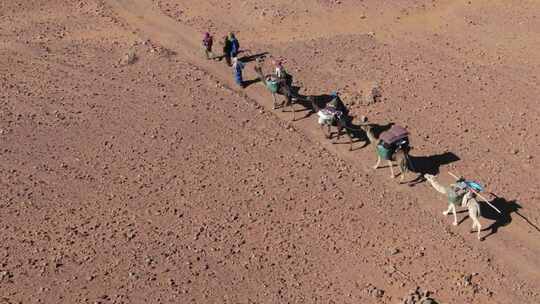 古代沙漠驼队商队丝绸之路一带一路视频素材模板下载