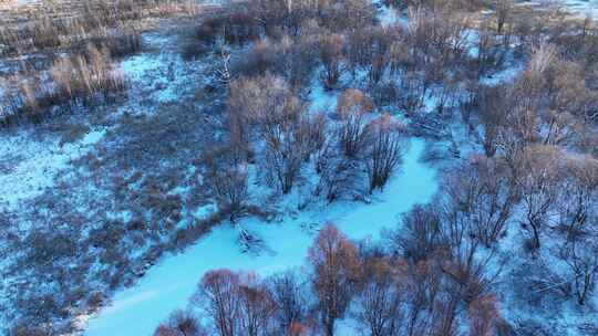 呼伦贝尔冬季雪景荒野湿地丛林自然风光