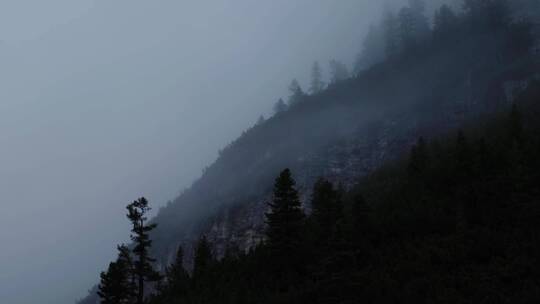 山中森林清晨水汽雾气朦胧