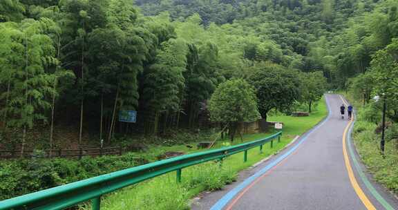 生态山庄森林竹海竹林宁静的步道