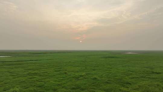 大草原风光航拍鄱阳湖湿地公园风光生态环境