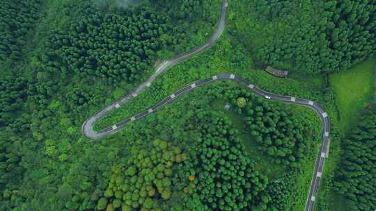 航拍森林公路自然美景