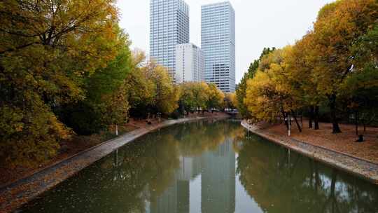 天津运河秋季城市公园风光