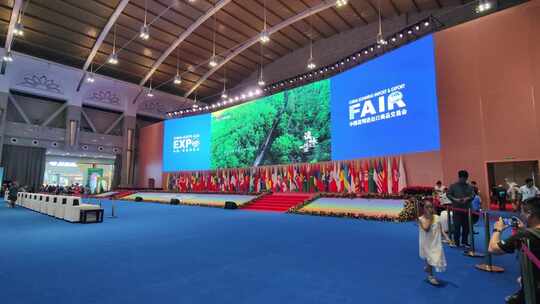 【合集】2024第八届中国-南亚博览会实拍