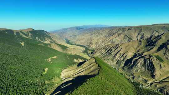 航拍新疆东天山原始森林高山草原风光