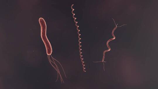 医学病原体病毒病原体病菌细菌医学三维动画