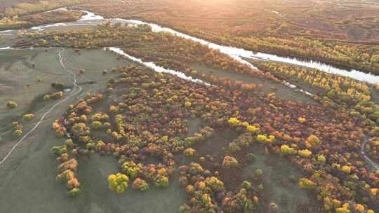 内蒙古额尔古纳根河湿地景区自然风光