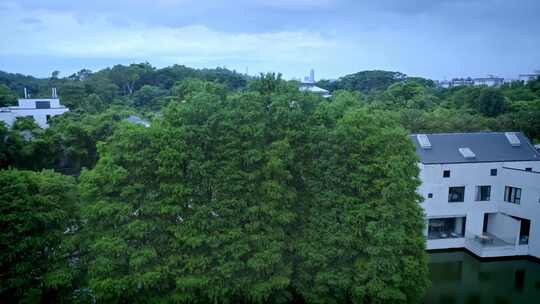 航拍广州中国科学院华南植物园热带温室