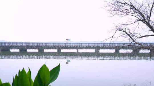 武汉植物园东湖绿道4K视频合集