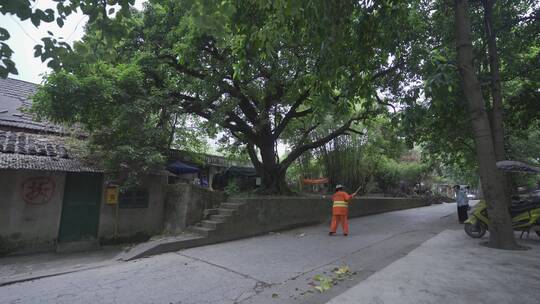 老街年代感建筑夏季树荫光影