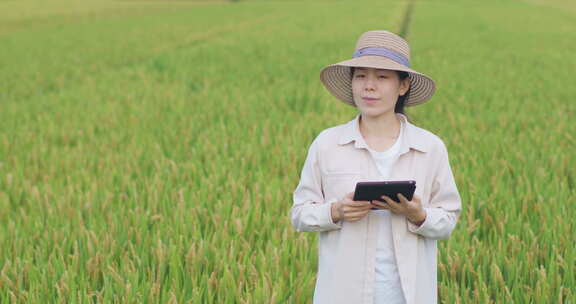 女农民稻田里拿着平板电脑