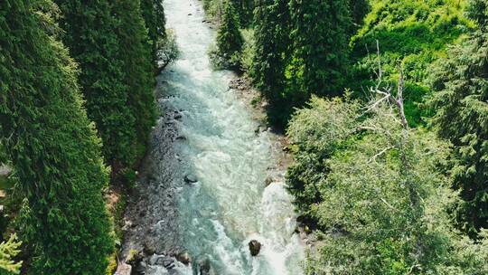 航拍绿色森林河流大自然风景视频素材模板下载