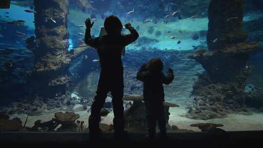 孩子们看着黄貂鱼在水族馆里游泳