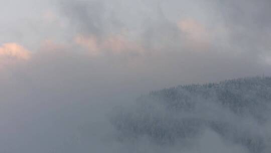 美丽的冬天雪景