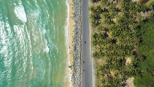 海南海岛公路椰林日落海浪沙滩