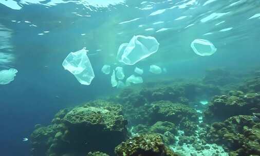 海底礁石间漂浮着多个白色塑料袋