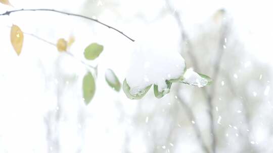 下雪天行人车辆打雪仗下瑞雪年味