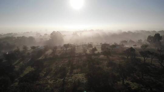 无人机拍摄的清晨的大雾
