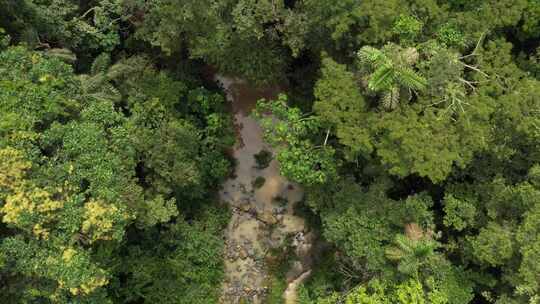 热带溪流的鸟瞰图视频素材模板下载
