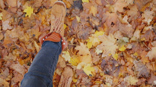 走在秋天落叶的公园里视频素材模板下载