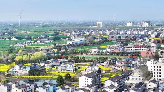 航拍平原乡镇农村田野油菜花风力发电机池塘