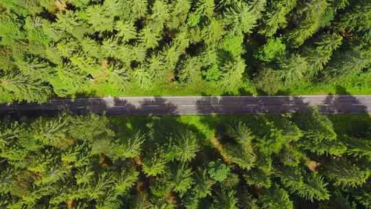 荒凉的道路穿过绿色林区空中