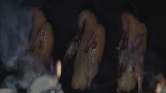 烤鸭_烤鸭制作_鸭肉肉鸭养殖视频素材模板下载