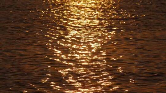 金色的阳光倒映在海湾里