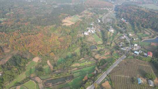 四川德阳罗江区附近山林秋色