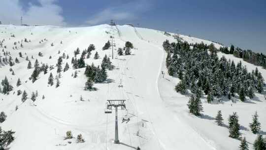 冬季，雪，滑雪场，针叶树