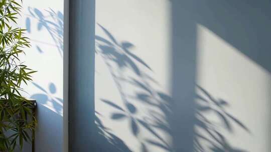 光影交织的房间与窗外竹影