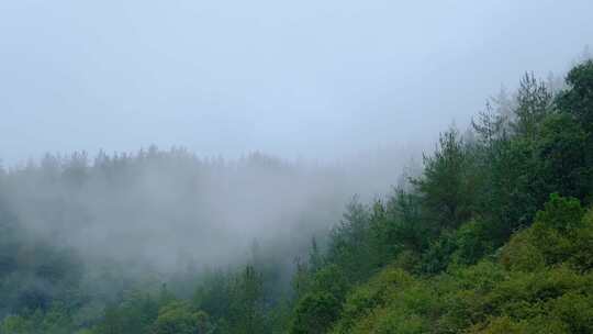 初秋雨中山脉云雾缭绕的绝美自然风光