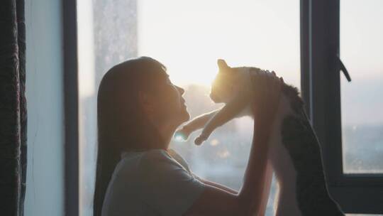 女孩在傍晚夕阳下的落地窗边抱着猫咪玩耍