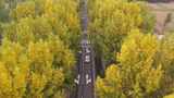 秋日林间道路俯瞰高清在线视频素材下载