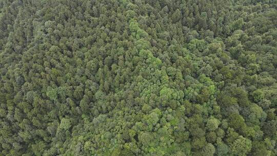 航拍湖南中坡山国家森林公园