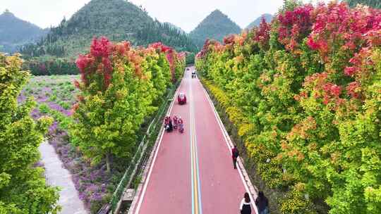 4k秋天  枫叶空境视频素材 大自然美景