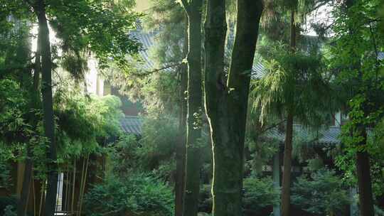 杭州灵隐寺 古建筑 日出光影  丁达尔光